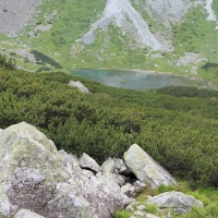 (107/134): ysa Polana - Bielovodska dolina - Litvorova dolina - Bielovodska dolina - ysa Polana