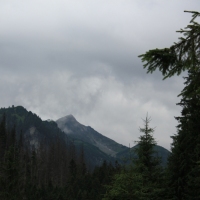 (3/124): Palenica Biaczaska - Dolina Rybiego Potoku - Morskie Oko 1395 m n.p.m. - Dolina za Mnichem - Wrota Chaubiskiego 2022 m n.p.m. - Dolina za Mnichem - Morskie Oko 1395 m n.p.m. -  Dolina Rybiego Potoku - Palenica Biaczaska