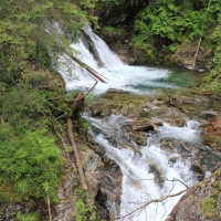 (7/124): Palenica Biaczaska - Dolina Rybiego Potoku - Morskie Oko 1395 m n.p.m. - Dolina za Mnichem - Wrota Chaubiskiego 2022 m n.p.m. - Dolina za Mnichem - Morskie Oko 1395 m n.p.m. -  Dolina Rybiego Potoku - Palenica Biaczaska