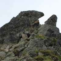 (58/124): Palenica Biaczaska - Dolina Rybiego Potoku - Morskie Oko 1395 m n.p.m. - Dolina za Mnichem - Wrota Chaubiskiego 2022 m n.p.m. - Dolina za Mnichem - Morskie Oko 1395 m n.p.m. -  Dolina Rybiego Potoku - Palenica Biaczaska