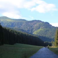 (13/75): Kiry - Dolina Kocieliska - Hala Ornak - Smreczeski Staw 1227 m n.p.m. - Hala Ornak - Dolina Kocieliska - Kiry