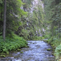 (21/75): Kiry - Dolina Kocieliska - Hala Ornak - Smreczeski Staw 1227 m n.p.m. - Hala Ornak - Dolina Kocieliska - Kiry