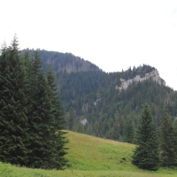 (25/75): Kiry - Dolina Kocieliska - Hala Ornak - Smreczeski Staw 1227 m n.p.m. - Hala Ornak - Dolina Kocieliska - Kiry