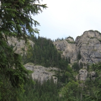 (26/75): Kiry - Dolina Kocieliska - Hala Ornak - Smreczeski Staw 1227 m n.p.m. - Hala Ornak - Dolina Kocieliska - Kiry