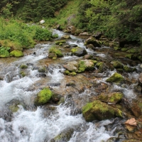 (30/75): Kiry - Dolina Kocieliska - Hala Ornak - Smreczeski Staw 1227 m n.p.m. - Hala Ornak - Dolina Kocieliska - Kiry