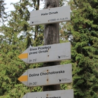 (33/75): Kiry - Dolina Kościeliska - Hala Ornak - Smreczeński Staw 1227 m n.p.m. - Hala Ornak - Dolina Kościeliska - Kiry