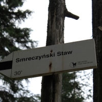 (37/75): Kiry - Dolina Kocieliska - Hala Ornak - Smreczeski Staw 1227 m n.p.m. - Hala Ornak - Dolina Kocieliska - Kiry