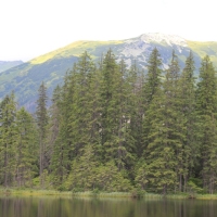 (44/75): Kiry - Dolina Kocieliska - Hala Ornak - Smreczeski Staw 1227 m n.p.m. - Hala Ornak - Dolina Kocieliska - Kiry