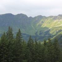 (46/75): Kiry - Dolina Kocieliska - Hala Ornak - Smreczeski Staw 1227 m n.p.m. - Hala Ornak - Dolina Kocieliska - Kiry
