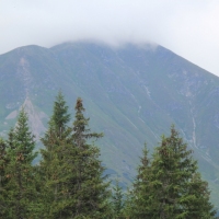 (47/75): Kiry - Dolina Kocieliska - Hala Ornak - Smreczeski Staw 1227 m n.p.m. - Hala Ornak - Dolina Kocieliska - Kiry