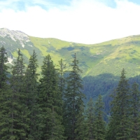 (49/75): Kiry - Dolina Kocieliska - Hala Ornak - Smreczeski Staw 1227 m n.p.m. - Hala Ornak - Dolina Kocieliska - Kiry