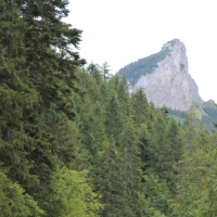 (3/114): Tatranska Javorina - Javorova dolina - Dolina Zadnych Med`odolov - Kopske sedlo 1750 m n.p.m. -  Dolina Zadnych Med`odolov - Javorova dolina - Tatranska Javorina