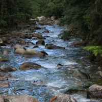 (4/114): Tatranska Javorina - Javorova dolina - Dolina Zadnych Med`odolov - Kopske sedlo 1750 m n.p.m. -  Dolina Zadnych Med`odolov - Javorova dolina - Tatranska Javorina