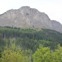 (5/114): Tatranska Javorina - Javorova dolina - Dolina Zadnych Med`odolov - Kopske sedlo 1750 m n.p.m. -  Dolina Zadnych Med`odolov - Javorova dolina - Tatranska Javorina