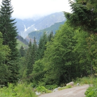 (6/114): Tatranska Javorina - Javorova dolina - Dolina Zadnych Med`odolov - Kopske sedlo 1750 m n.p.m. -  Dolina Zadnych Med`odolov - Javorova dolina - Tatranska Javorina