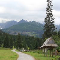 (9/114): Tatranska Javorina - Javorova dolina - Dolina Zadnych Med`odolov - Kopske sedlo 1750 m n.p.m. -  Dolina Zadnych Med`odolov - Javorova dolina - Tatranska Javorina