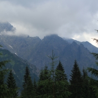 (14/114): Tatranska Javorina - Javorova dolina - Dolina Zadnych Med`odolov - Kopske sedlo 1750 m n.p.m. -  Dolina Zadnych Med`odolov - Javorova dolina - Tatranska Javorina