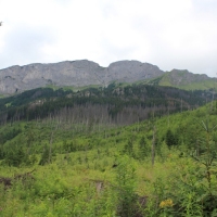 (20/114): Tatranska Javorina - Javorova dolina - Dolina Zadnych Med`odolov - Kopske sedlo 1750 m n.p.m. -  Dolina Zadnych Med`odolov - Javorova dolina - Tatranska Javorina