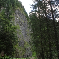 (24/114): Tatranska Javorina - Javorova dolina - Dolina Zadnych Med`odolov - Kopske sedlo 1750 m n.p.m. -  Dolina Zadnych Med`odolov - Javorova dolina - Tatranska Javorina