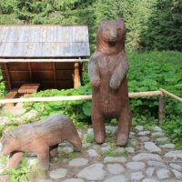 (27/114): Tatranska Javorina - Javorova dolina - Dolina Zadnych Med`odolov - Kopske sedlo 1750 m n.p.m. -  Dolina Zadnych Med`odolov - Javorova dolina - Tatranska Javorina