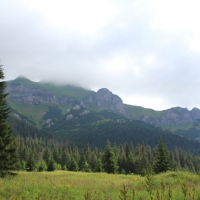 (28/114): Tatranska Javorina - Javorova dolina - Dolina Zadnych Med`odolov - Kopske sedlo 1750 m n.p.m. -  Dolina Zadnych Med`odolov - Javorova dolina - Tatranska Javorina