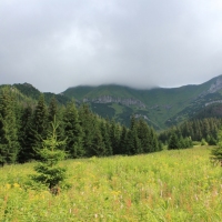 (29/114): Tatranska Javorina - Javorova dolina - Dolina Zadnych Med`odolov - Kopske sedlo 1750 m n.p.m. -  Dolina Zadnych Med`odolov - Javorova dolina - Tatranska Javorina