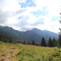 (30/114): Tatranska Javorina - Javorova dolina - Dolina Zadnych Med`odolov - Kopske sedlo 1750 m n.p.m. -  Dolina Zadnych Med`odolov - Javorova dolina - Tatranska Javorina