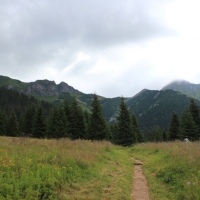 (33/114): Tatranska Javorina - Javorova dolina - Dolina Zadnych Med`odolov - Kopske sedlo 1750 m n.p.m. -  Dolina Zadnych Med`odolov - Javorova dolina - Tatranska Javorina
