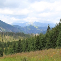 (36/114): Tatranska Javorina - Javorova dolina - Dolina Zadnych Med`odolov - Kopske sedlo 1750 m n.p.m. -  Dolina Zadnych Med`odolov - Javorova dolina - Tatranska Javorina