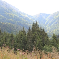 (37/114): Tatranska Javorina - Javorova dolina - Dolina Zadnych Med`odolov - Kopske sedlo 1750 m n.p.m. -  Dolina Zadnych Med`odolov - Javorova dolina - Tatranska Javorina