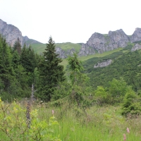 (40/114): Tatranska Javorina - Javorova dolina - Dolina Zadnych Med`odolov - Kopske sedlo 1750 m n.p.m. -  Dolina Zadnych Med`odolov - Javorova dolina - Tatranska Javorina