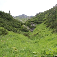 (42/114): Tatranska Javorina - Javorova dolina - Dolina Zadnych Med`odolov - Kopske sedlo 1750 m n.p.m. -  Dolina Zadnych Med`odolov - Javorova dolina - Tatranska Javorina