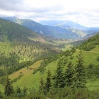(44/114): Tatranska Javorina - Javorova dolina - Dolina Zadnych Med`odolov - Kopske sedlo 1750 m n.p.m. -  Dolina Zadnych Med`odolov - Javorova dolina - Tatranska Javorina