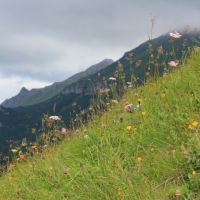 (49/114): Tatranska Javorina - Javorova dolina - Dolina Zadnych Med`odolov - Kopske sedlo 1750 m n.p.m. -  Dolina Zadnych Med`odolov - Javorova dolina - Tatranska Javorina