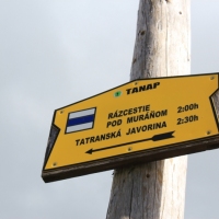 (52/114): Tatranska Javorina - Javorova dolina - Dolina Zadnych Med`odolov - Kopske sedlo 1750 m n.p.m. -  Dolina Zadnych Med`odolov - Javorova dolina - Tatranska Javorina