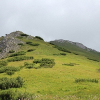 (53/114): Tatranska Javorina - Javorova dolina - Dolina Zadnych Med`odolov - Kopske sedlo 1750 m n.p.m. -  Dolina Zadnych Med`odolov - Javorova dolina - Tatranska Javorina