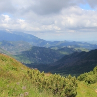 (60/114): Tatranska Javorina - Javorova dolina - Dolina Zadnych Med`odolov - Kopske sedlo 1750 m n.p.m. -  Dolina Zadnych Med`odolov - Javorova dolina - Tatranska Javorina
