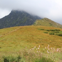 (61/114): Tatranska Javorina - Javorova dolina - Dolina Zadnych Med`odolov - Kopske sedlo 1750 m n.p.m. -  Dolina Zadnych Med`odolov - Javorova dolina - Tatranska Javorina