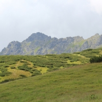 (63/114): Tatranska Javorina - Javorova dolina - Dolina Zadnych Med`odolov - Kopske sedlo 1750 m n.p.m. -  Dolina Zadnych Med`odolov - Javorova dolina - Tatranska Javorina