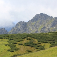 (74/114): Tatranska Javorina - Javorova dolina - Dolina Zadnych Med`odolov - Kopske sedlo 1750 m n.p.m. -  Dolina Zadnych Med`odolov - Javorova dolina - Tatranska Javorina