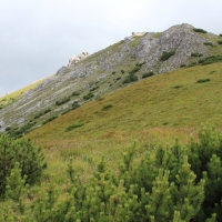 (90/114): Tatranska Javorina - Javorova dolina - Dolina Zadnych Med`odolov - Kopske sedlo 1750 m n.p.m. -  Dolina Zadnych Med`odolov - Javorova dolina - Tatranska Javorina