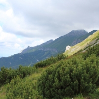 (91/114): Tatranska Javorina - Javorova dolina - Dolina Zadnych Med`odolov - Kopske sedlo 1750 m n.p.m. -  Dolina Zadnych Med`odolov - Javorova dolina - Tatranska Javorina