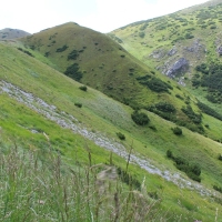 (96/114): Tatranska Javorina - Javorova dolina - Dolina Zadnych Med`odolov - Kopske sedlo 1750 m n.p.m. -  Dolina Zadnych Med`odolov - Javorova dolina - Tatranska Javorina