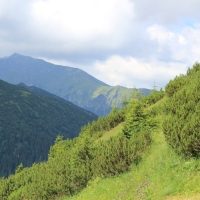 (100/114): Tatranska Javorina - Javorova dolina - Dolina Zadnych Med`odolov - Kopske sedlo 1750 m n.p.m. -  Dolina Zadnych Med`odolov - Javorova dolina - Tatranska Javorina