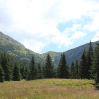 (104/114): Tatranska Javorina - Javorova dolina - Dolina Zadnych Med`odolov - Kopske sedlo 1750 m n.p.m. -  Dolina Zadnych Med`odolov - Javorova dolina - Tatranska Javorina