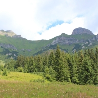 (108/114): Tatranska Javorina - Javorova dolina - Dolina Zadnych Med`odolov - Kopske sedlo 1750 m n.p.m. -  Dolina Zadnych Med`odolov - Javorova dolina - Tatranska Javorina