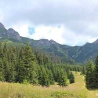 (109/114): Tatranska Javorina - Javorova dolina - Dolina Zadnych Med`odolov - Kopske sedlo 1750 m n.p.m. -  Dolina Zadnych Med`odolov - Javorova dolina - Tatranska Javorina