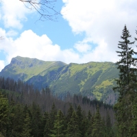 (110/114): Tatranska Javorina - Javorova dolina - Dolina Zadnych Med`odolov - Kopske sedlo 1750 m n.p.m. -  Dolina Zadnych Med`odolov - Javorova dolina - Tatranska Javorina