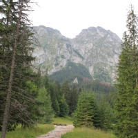 (17/157): Dolina Stryska - Przecz w Grzybowcu 1311 m n.p.m. - Wynia Kondracka Przecz - Giewont 1894 m n.p.m. - Wynia Kondracka Przecz - Kondracka Przecz 1725 m n.p.m. - Kondracka Kopa 2005 m n.p.m. -  Kondracka Przecz 1725 m n.p.m. - Dolina Maej ki - elazna Droga - Dolina Stryska 