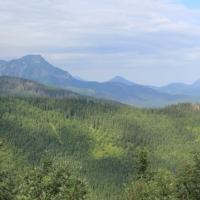 (21/157): Dolina Stryska - Przecz w Grzybowcu 1311 m n.p.m. - Wynia Kondracka Przecz - Giewont 1894 m n.p.m. - Wynia Kondracka Przecz - Kondracka Przecz 1725 m n.p.m. - Kondracka Kopa 2005 m n.p.m. -  Kondracka Przecz 1725 m n.p.m. - Dolina Maej ki - elazna Droga - Dolina Stryska 